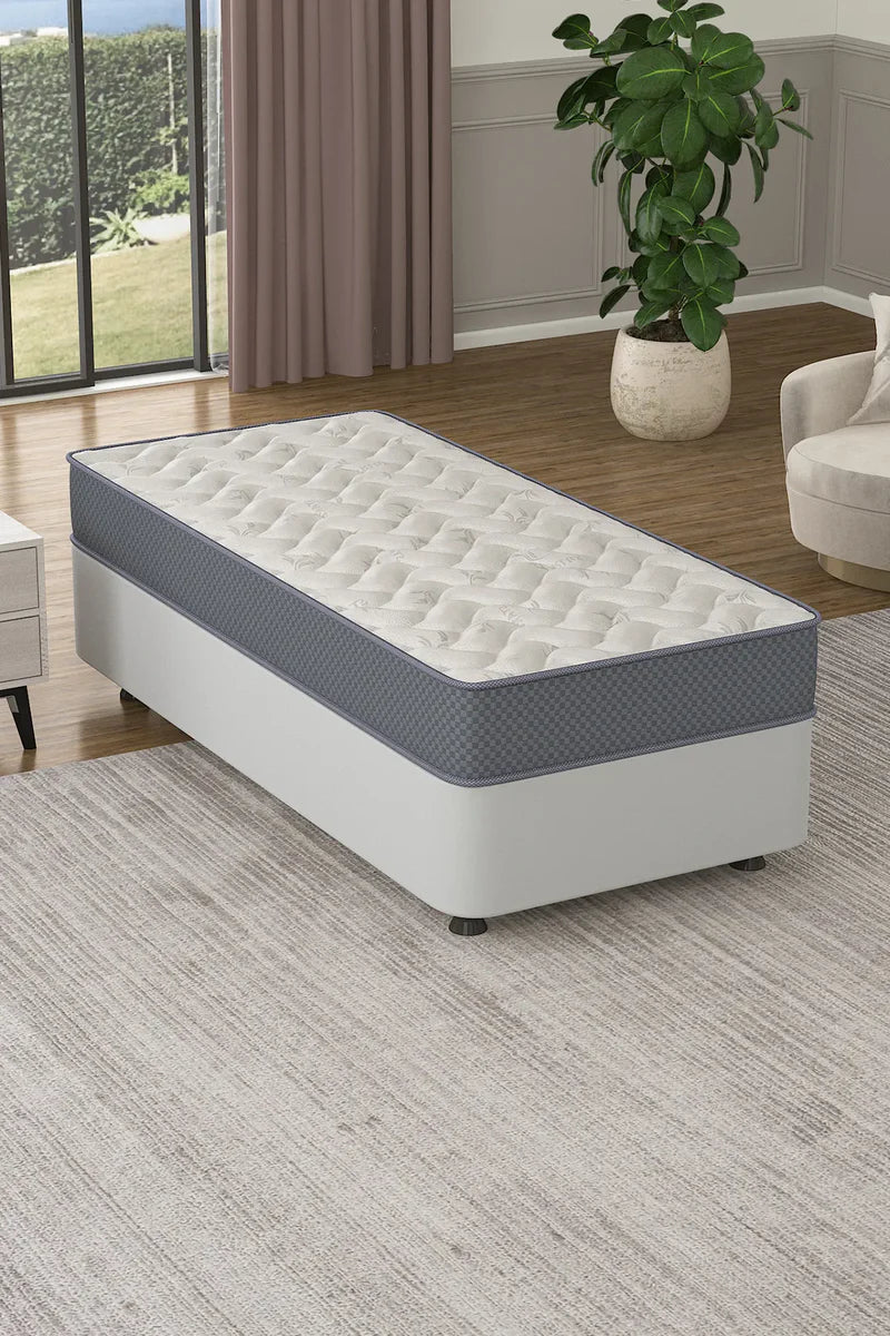 Spinal Assistance Pocket Spring