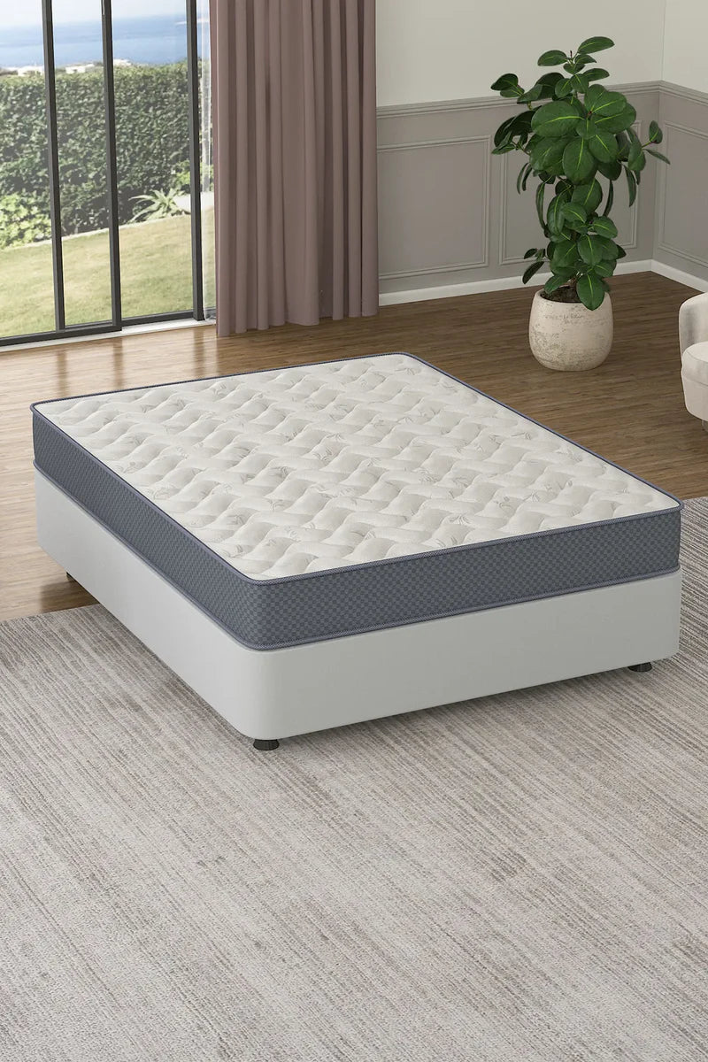 Spinal Assistance Pocket Spring